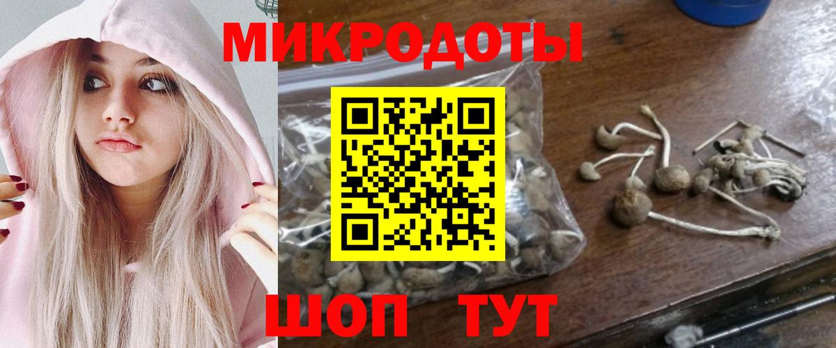 Галлюциногенные грибы Magic Shrooms  Псилоцибиновые грибы MAGIC MUSHROOMS  Вход с VPN  Холмск 