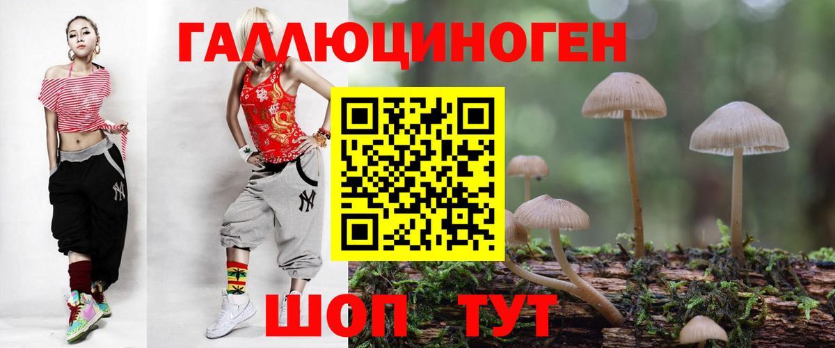 Псилоцибиновые грибы Cubensis Холмск